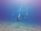 Hawaii Scuba divng 53