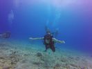 Hawaii Scuba divng 56