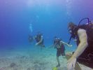 Hawaii Scuba divng 57