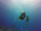 Hawaii Scuba divng 58