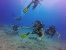 Hawaii Scuba divng 61