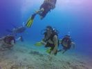 Hawaii Scuba divng 62