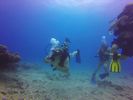 Hawaii Scuba divng 63