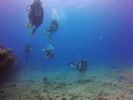 Hawaii Scuba divng 66