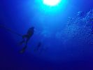 Hawaii Scuba divng 06