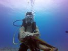 Hawaii Scuba divng 70