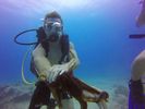 Hawaii Scuba divng 71