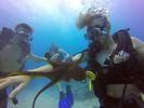 Hawaii Scuba divng 73