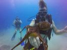 Hawaii Scuba divng 75