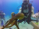 Hawaii Scuba divng 76