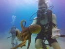 Hawaii Scuba divng 77