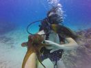 Hawaii Scuba divng 80