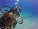 Hawaii Scuba divng 82