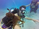 Hawaii Scuba divng 85