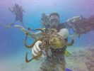 Hawaii Scuba divng 87