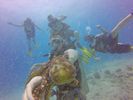 Hawaii Scuba divng 88