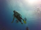 Hawaii Scuba divng 91