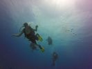 Hawaii Scuba divng 92