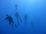 Hawaii Scuba divng 12