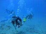 Hawaii Scuba divng 15