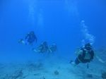 Hawaii Scuba divng 16