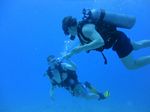 Hawaii Scuba divng 17