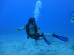 Hawaii Scuba divng 19