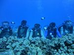 Hawaii Scuba divng 21