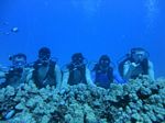 Hawaii Scuba divng 22