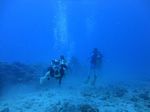 Hawaii Scuba divng 23