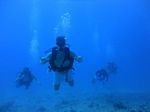 Hawaii Scuba divng 34