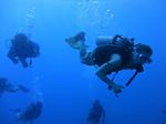 Hawaii Scuba divng 38