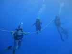 Hawaii Scuba divng 46