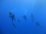 Hawaii Scuba divng 47