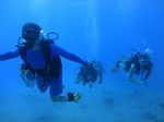 Hawaii Scuba divng 49