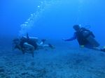 Hawaii Scuba divng 51