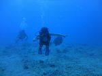 Hawaii Scuba divng 51