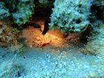 Hawaii Scuba divng 53