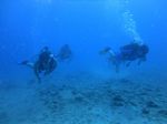 Hawaii Scuba divng 56