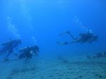 Hawaii Scuba divng 56