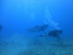 Hawaii Scuba divng 57