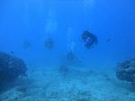 Hawaii Scuba divng 60