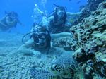 Hawaii Scuba divng 62