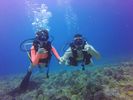 Hawaii Scuba divng 10