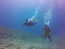 Hawaii Scuba divng 11