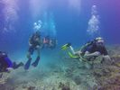 Hawaii Scuba divng 13