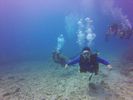 Hawaii Scuba divng 15