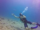 Hawaii Scuba divng 19