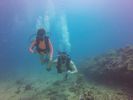 Hawaii Scuba divng 22