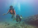 Hawaii Scuba divng 23